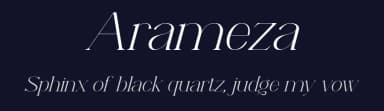 Arameza by Irfan Hidayat — Serif Font — thumbnail 2