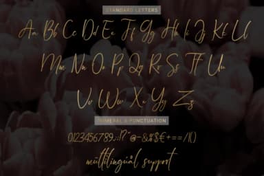 Arandalle Script Font by kammaqsum — Script Handwritten Font — thumbnail 9