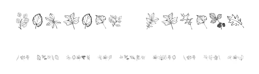 Arboris Folium by Andrew D. Taylor — Dingbats Font