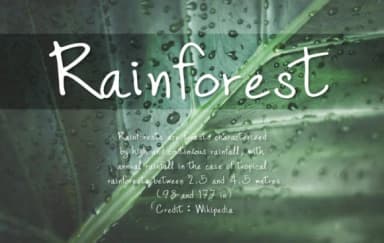 Archi Light Font by SkyClick — Script Handwritten Font — thumbnail 2