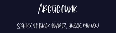Arcticfunk by Maulana Creative — Script Handwritten Font — thumbnail 2