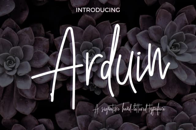 Arduin Font by paramajandesign — Script Handwritten Font
