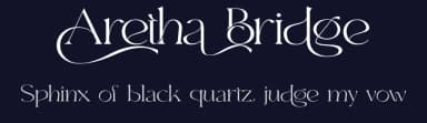 Aretha Bridge by 177Studio — Sans Serif Font — thumbnail 2