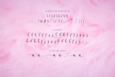 Arietta Font by Letteratom — Script Handwritten Font — thumbnail 3