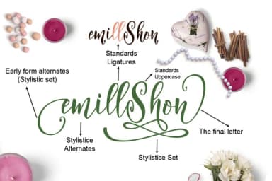 Arillyoni Script Font by moriztype — Script Handwritten Font — thumbnail 3