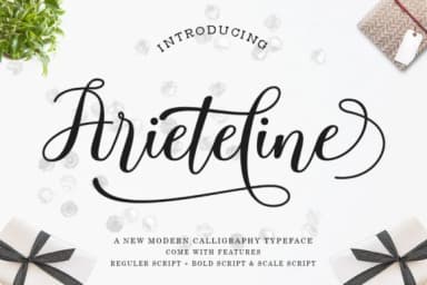 Ariteline Script Font by Zane Studio — Script Handwritten Font — thumbnail 1