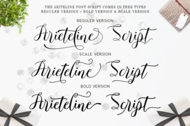 Ariteline Script Font by Zane Studio — Script Handwritten Font — thumbnail 3