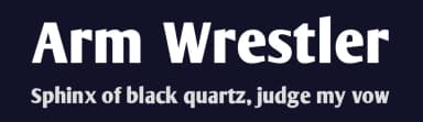 Arm Wrestler by AJ Paglia — Sans Serif Font — thumbnail 2