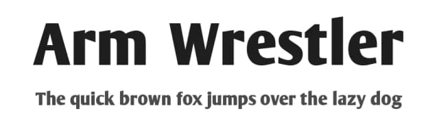 Arm Wrestler by AJ Paglia — Sans Serif Font
