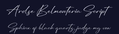 Arolse Belmonteria Script by Storytype Studio — Script Handwritten Font — thumbnail 2