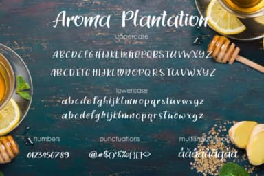 Aroma Plantation Duo Font by tregubova.jul — Script Handwritten Font — thumbnail 4