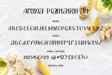 Aroma Plantation Duo Font by tregubova.jul — Script Handwritten Font — thumbnail 7