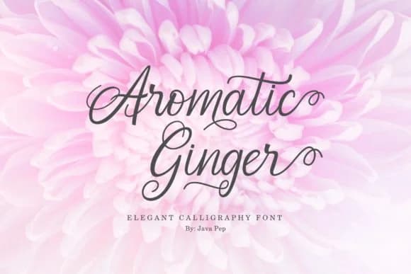 Aromatic Ginger Font by JavaPep — Script Handwritten Font