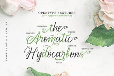 Aromatic Ginger Font by JavaPep — Script Handwritten Font — thumbnail 4