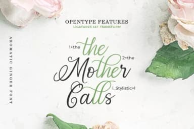 Aromatic Ginger Font by JavaPep — Script Handwritten Font — thumbnail 5