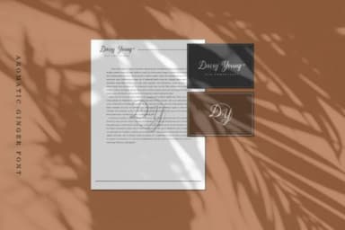 Aromatic Ginger Font by JavaPep — Script Handwritten Font — thumbnail 7