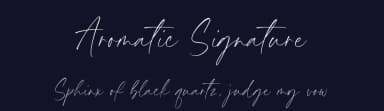 Aromatic Signature by Timur Type — Script Handwritten Font — thumbnail 2
