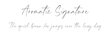 Aromatic Signature by Timur Type — Script Handwritten Font — thumbnail 1