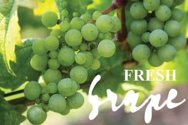 Artisoya Font by Royaltype — Script Handwritten Font — thumbnail 8