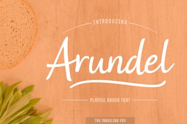 Arundel Font by The Traveling Fox — Script Handwritten Font — thumbnail 1
