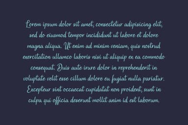 Arundel Font by The Traveling Fox — Script Handwritten Font — thumbnail 6