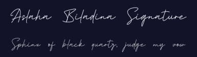Aslaha Biladina Signature by GFR Creative — Script Handwritten Font — thumbnail 2