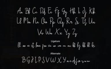 Assault Script Font by Letterdy — Script Handwritten Font — thumbnail 2