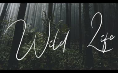 Astbjoert Font by edinsartstudio — Script Handwritten Font — thumbnail 9