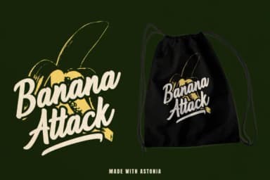 Astonia Font by Sibelumpagi Studio — Script Handwritten Font — thumbnail 8