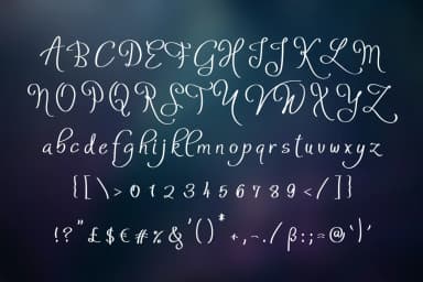 Atyla Font by Digital Typeface Studio — Script Handwritten Font — thumbnail 3