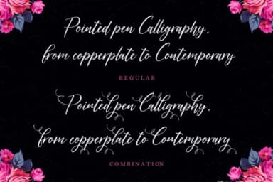 Audentcial Font by scoothtype — Script Handwritten Font — thumbnail 4