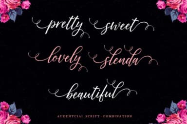 Audentcial Font by scoothtype — Script Handwritten Font — thumbnail 6