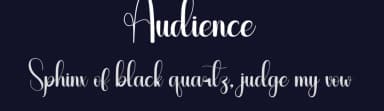 Audience by Scratchones — Script Handwritten Font — thumbnail 2