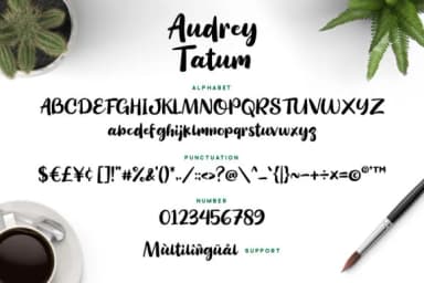 Audrey Tatum Font by Grezline Studio — Script Handwritten Font — thumbnail 6