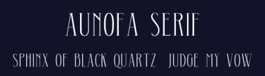 Aunofa Serif by Konstantine Studio — Serif Font — thumbnail 2