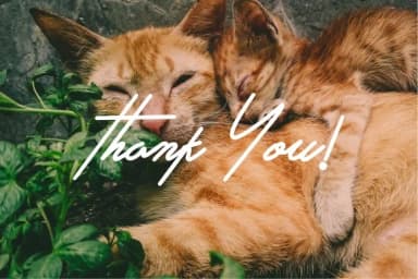 Auotomatic Font by yadhie_setiawan — Script Handwritten Font — thumbnail 4