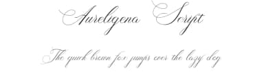 Aureligena Script by IM Studio — Script Handwritten Font — thumbnail 1