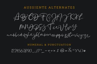 Aussiente Font by InspiraType — Script Handwritten Font — thumbnail 9