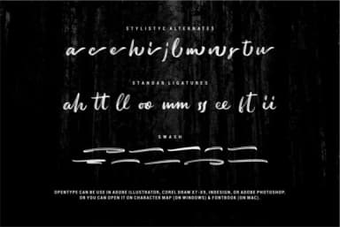 Austellia Font by Garisman Studio — Script Handwritten Font — thumbnail 8
