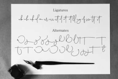 Australia Script Font by Dhan Studio — Script Handwritten Font — thumbnail 7