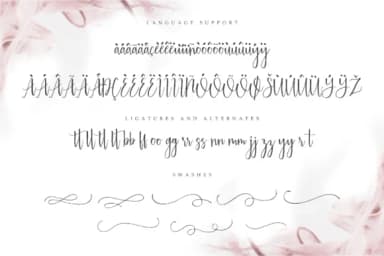 Australis Font by NendesKombet — Script Handwritten Font — thumbnail 8