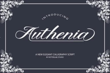 Authenia Script Font by rotterlabstudio — Script Handwritten Font — thumbnail 8