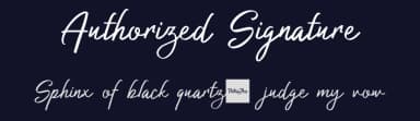 Authorized Signature by Patria Ari Typestudio — Script Handwritten Font — thumbnail 2