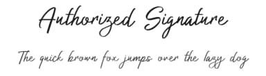 Authorized Signature by Patria Ari Typestudio — Script Handwritten Font — thumbnail 1