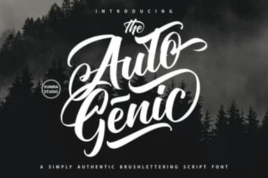 Autogenic Font by Vunira — Script Handwritten Font — thumbnail 1