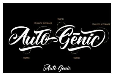 Autogenic Font by Vunira — Script Handwritten Font — thumbnail 8