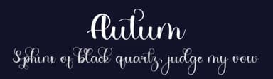 Autum by PiPi Creative STUDIO — Script Handwritten Font — thumbnail 2