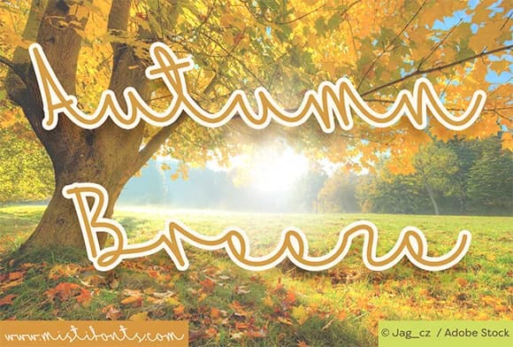 Autumn Breeze Font by Misti — Script Handwritten Font