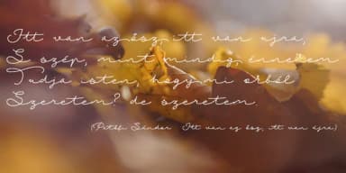Autumn Chant Font by Roland Hüse Design — Script Handwritten Font — thumbnail 3