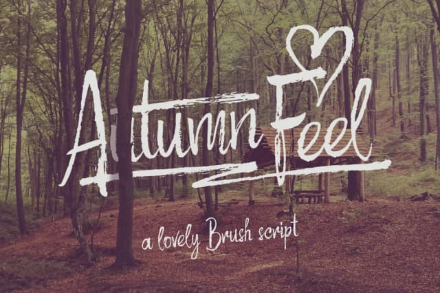 Autumn Feel Font by Gleb Guralnyk — Script Handwritten Font